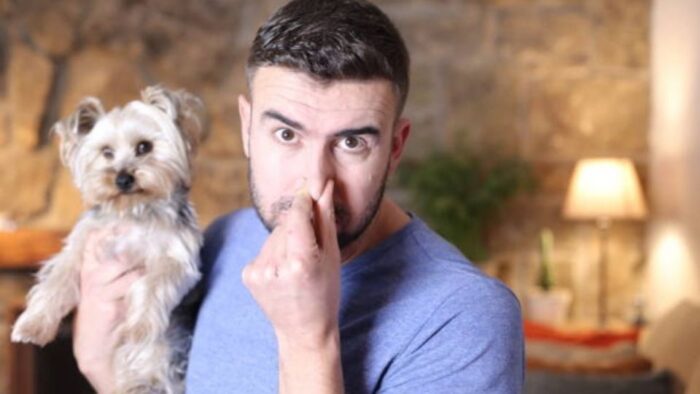 #Perritos: 5 tips para que no huelan feo