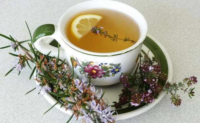 #Salud – Conoce los beneficios del té de romero y cómo prepararlo
