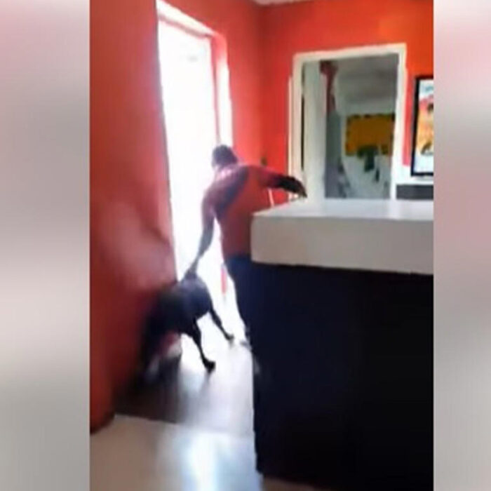 #CinemexApesta – VIDEO. Captan a empleado de Cinemex sacando violentamente a lomito de sus instalaciones