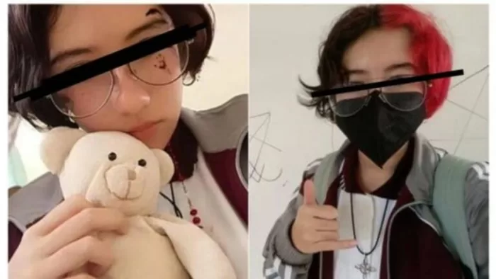 #Pets – 8 años de cárcel podría recibir Vanessa, joven que mató a “Huellitas”