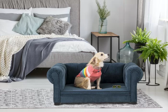 #PetLovers – Un hogar acogedor para los perri – hijos: Consejos de decoración para pet lovers