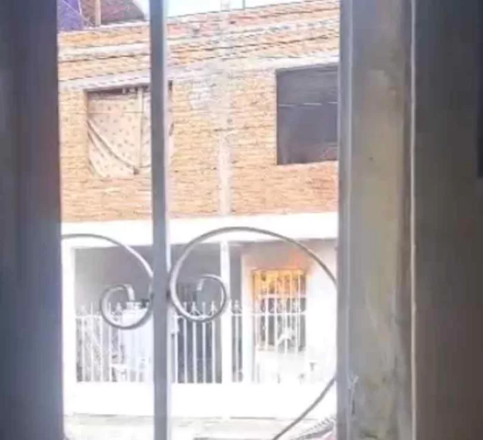 #Mascotas – Atacan con bombas molotov casa de adolescente que mató a gato que adoptó en Aguascalientes