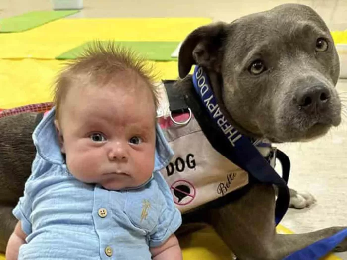 #Pets – Perrita Belle se convierte en la primera ‘comadrona canina’ tras ayudar en un parto